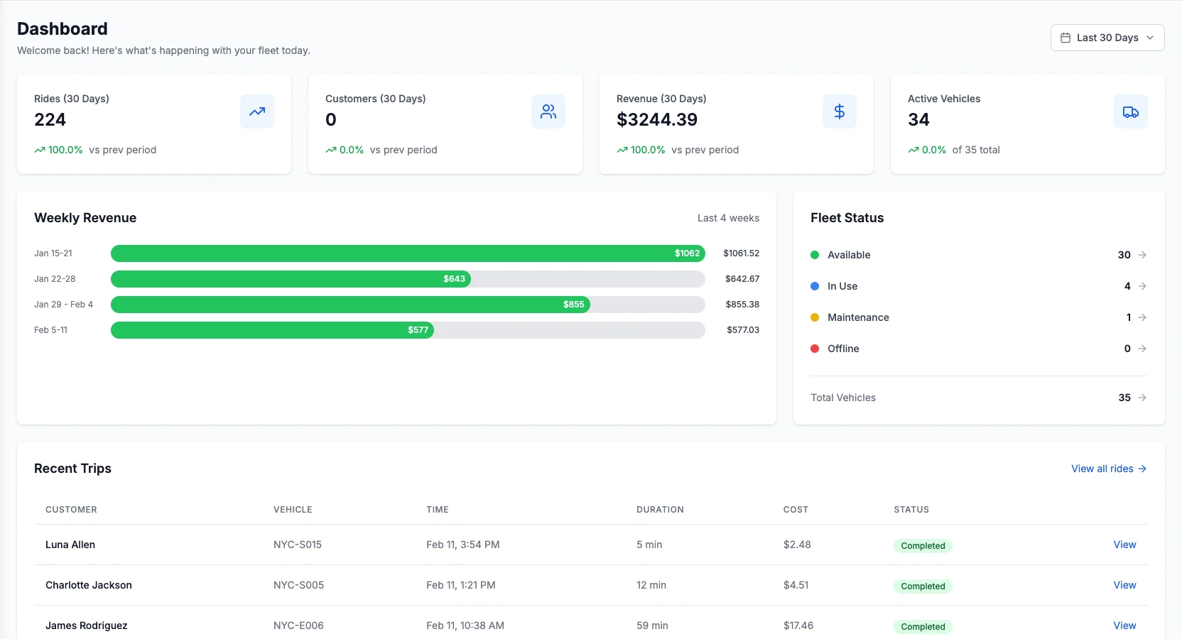 TripAdvisor implementation shown in the Levy Fleets unified operator dashboard interface