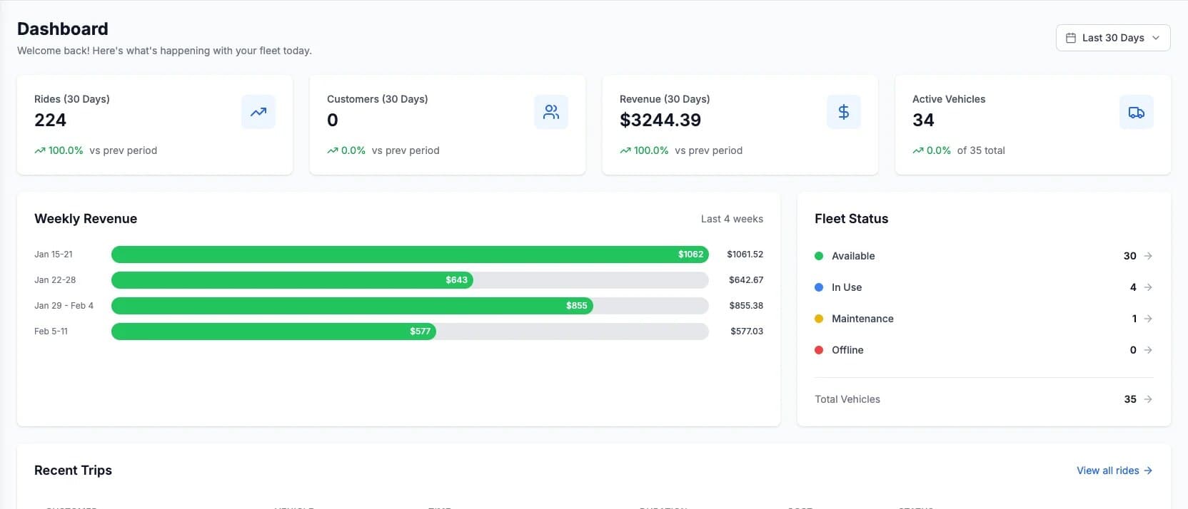 Levy Fleets operator dashboard showing 30-day rides, revenue, active vehicles and fleet status