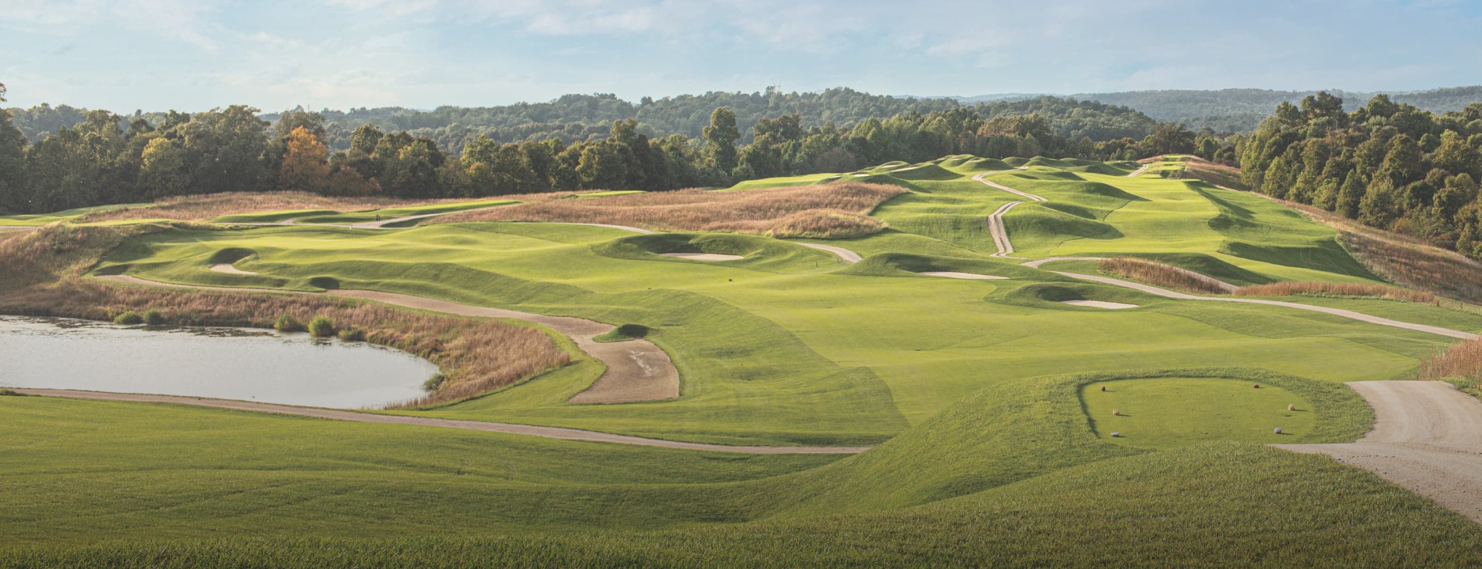 Yamaha Yamaha Drive2 QuieTech EFI - side profile view